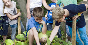 Groen in de buurt stimuleert het beweeggedrag van kinderen